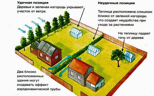 Расстояние от теплицы до соседнего участка