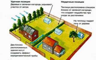 Расстояние от забора до теплицы нормы