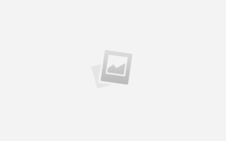 Сандерсония китайский фонарик