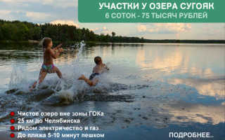 Сколько домашней птицы можно выращивать на садовом участке