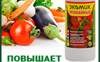 Теплица своими руками