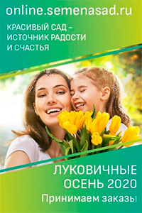 Правила озеленения дачи