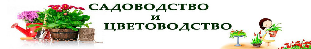 Дневник садовода gossort68.su
