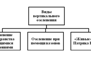 Преимущества вертикального озеленения участка подвесными композициями