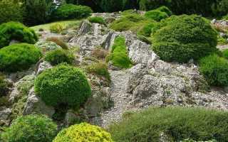 Схема строения альпийской горки