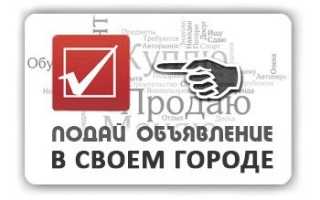 Укоренение черенков туи в домашних условиях