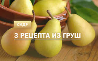 Сидр грушевый рецепт в домашних условиях