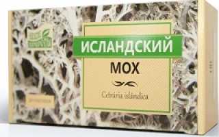 Исландский мох показания к применению
