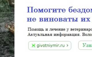 Как выглядит медведка фото