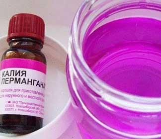 Полив комнатных растений раствором марганцовки